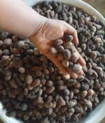 LES GRANDES BOUCHES AUTOUR DU BIO:D𝗲𝘀 𝘃𝗼𝗶𝘅 𝘀’𝗲́𝗹𝗲̀𝘃𝗲𝗻𝘁 𝗽𝗼𝘂𝗿 𝗽𝗿𝗼mouvoir 𝗹𝗲 𝗸𝗮𝗿𝗶𝘁𝗲́